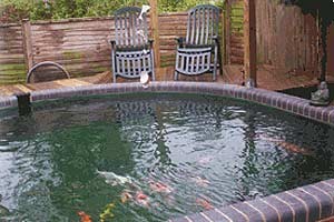 Koi ponds for all spaces